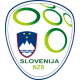 Slovenien EM 2024 Herr